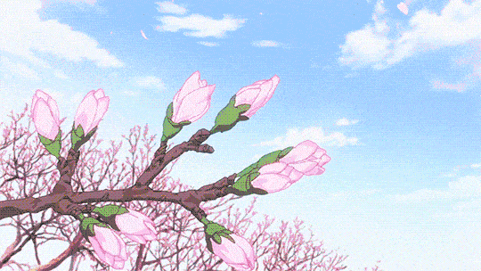 ef2a5e7ff8014d22990c129c7de7aa6f.gif