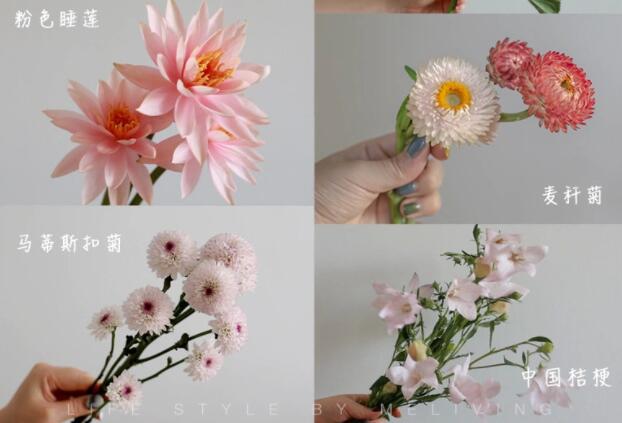 认识常见花朵的名称，广西插花学校花艺培训基础