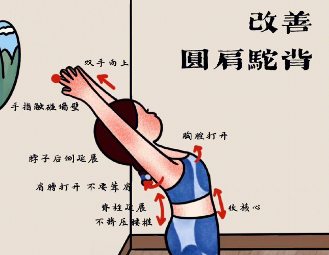 广西美容美体学校教你改善圆肩驼背