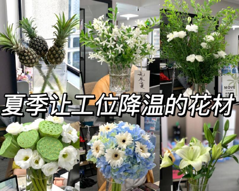 自带降温效果的花材，广西学鲜花技术