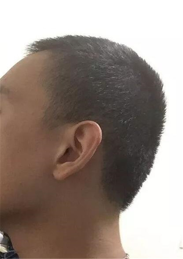 扁头7.jpg