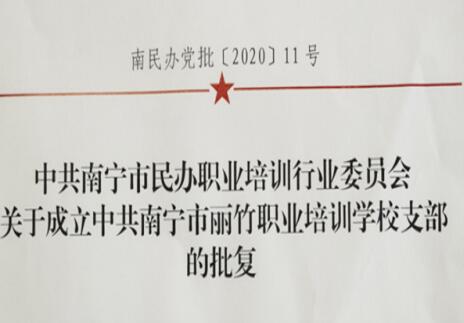 丽竹党支部成立通知