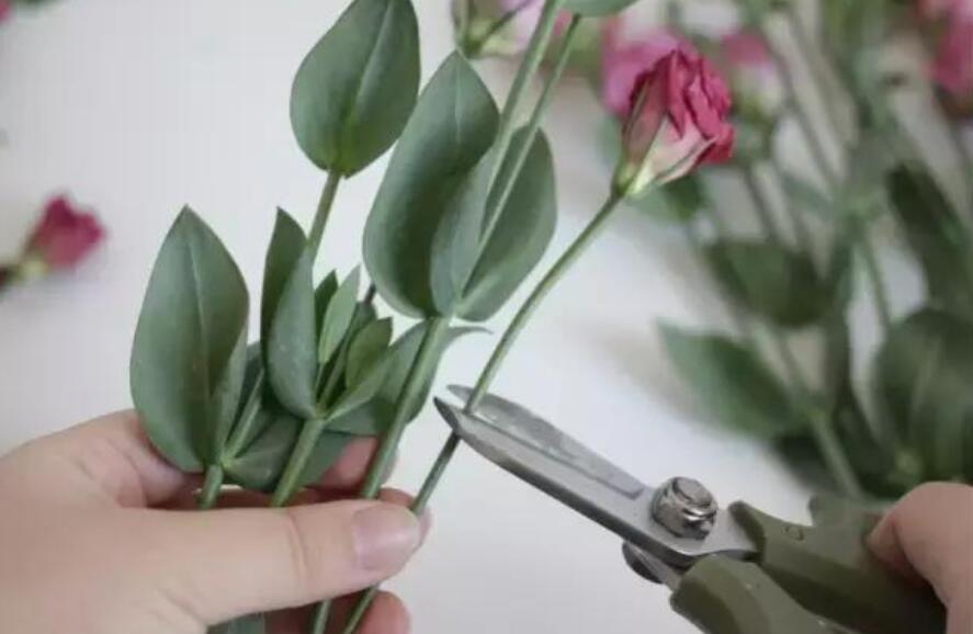 南宁花艺培训学校教你正确修剪花材的方法
