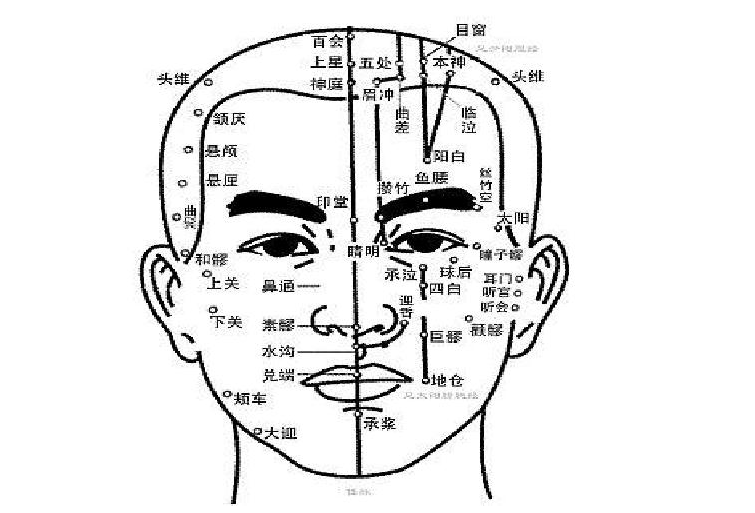 南宁美容培训课程：认识头部经络的走向