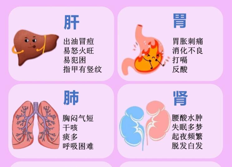 6大脏器保养指南，6款养生茶喝起来 ​​​