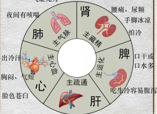 人体不同部位受寒的表现，广西中医美容培训分享