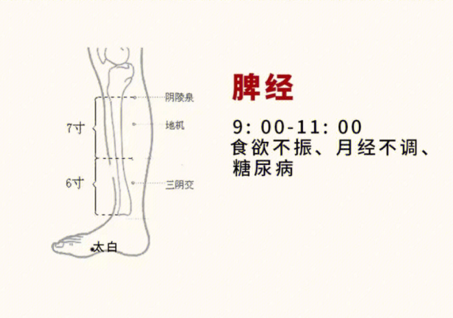 日常容易堵塞的身体部位，广西美容基础教学