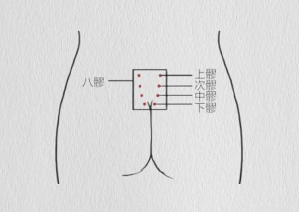 护理八髎的重要性，美容美体专业介绍