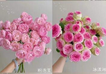 南宁花艺工作室里小众特色玫瑰花材