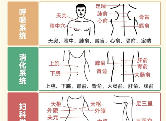 不同部位三伏贴艾灸作用，广西美体中医培训