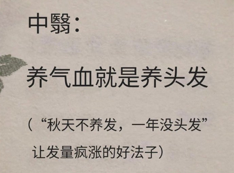 南宁头疗养发：日常头疗养发的技巧