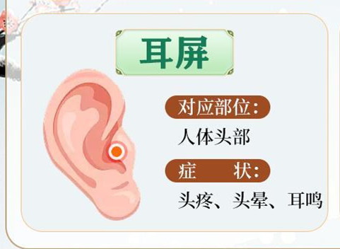 常按耳朵的好处，南宁美容美体哪里专业？