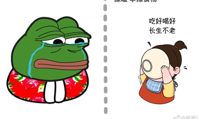 如何把脾胃养好?广西美容健康管理学校分享